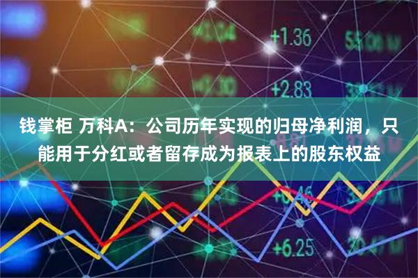 钱掌柜 万科A：公司历年实现的归母净利润，只能用于分红或者留存成为报表上的股东权益