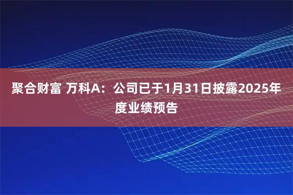 聚合财富 万科A：公司已于1月31日披露2025年度业绩预告