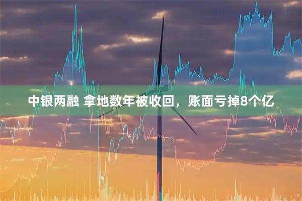 中银两融 拿地数年被收回，账面亏掉8个亿