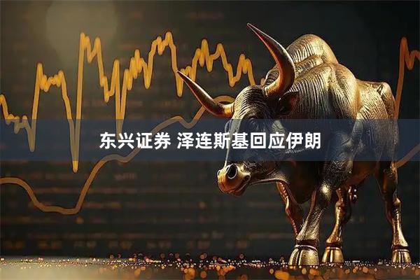 东兴证券 泽连斯基回应伊朗