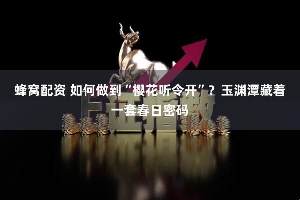 蜂窝配资 如何做到“樱花听令开”？玉渊潭藏着一套春日密码