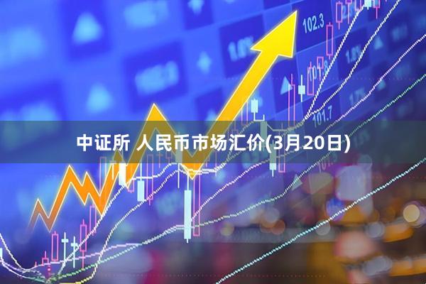 中证所 人民币市场汇价(3月20日)