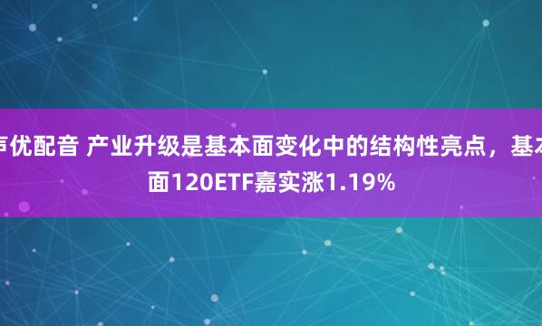声优配音 产业升级是基本面变化中的结构性亮点，基本面120ETF嘉实涨1.19%