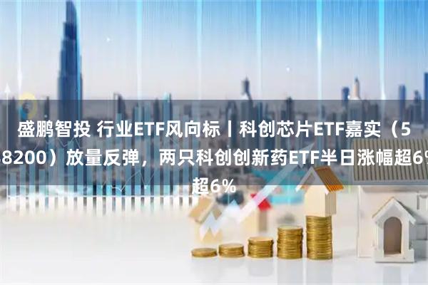 盛鹏智投 行业ETF风向标丨科创芯片ETF嘉实（588200）放量反弹，两只科创创新药ETF半日涨幅超6%