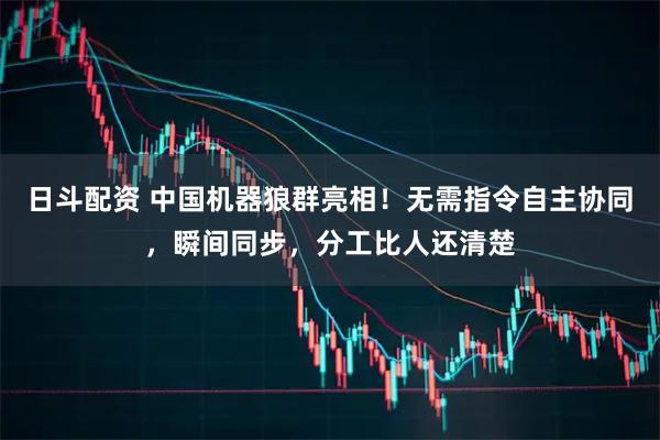日斗配资 中国机器狼群亮相！无需指令自主协同，瞬间同步，分工比人还清楚