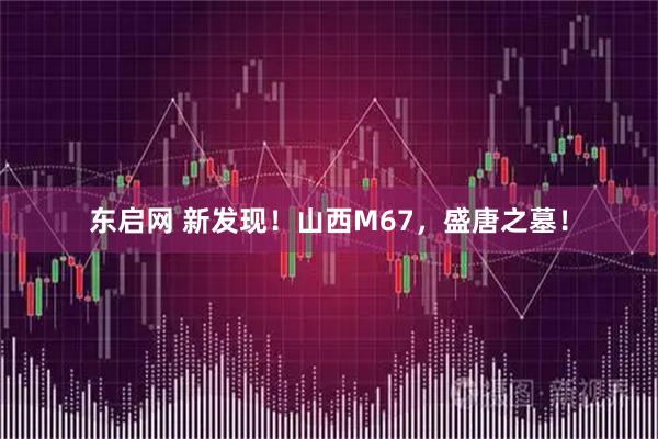 东启网 新发现！山西M67，盛唐之墓！