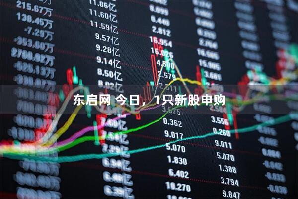东启网 今日，1只新股申购