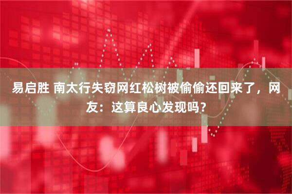 易启胜 南太行失窃网红松树被偷偷还回来了，网友：这算良心发现吗？
