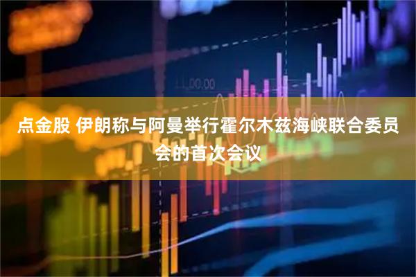点金股 伊朗称与阿曼举行霍尔木兹海峡联合委员会的首次会议