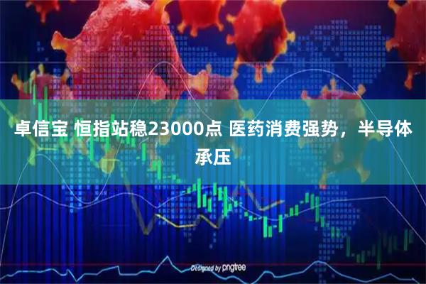 卓信宝 恒指站稳23000点 医药消费强势，半导体承压
