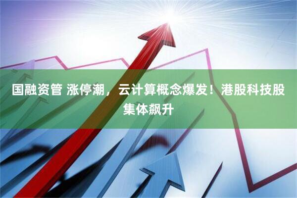 国融资管 涨停潮，云计算概念爆发！港股科技股集体飙升