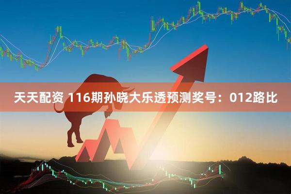 天天配资 116期孙晓大乐透预测奖号：012路比